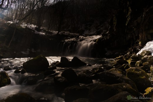 DSC_3959_1