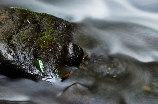 DSC_6492_1_2
