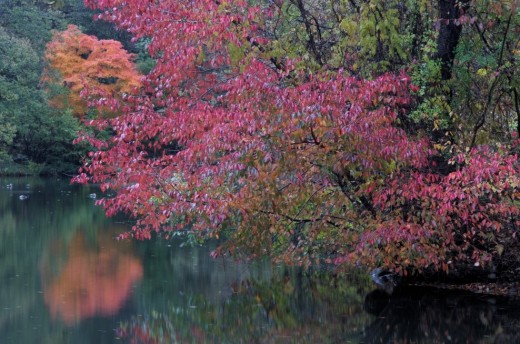DSC_7798_21